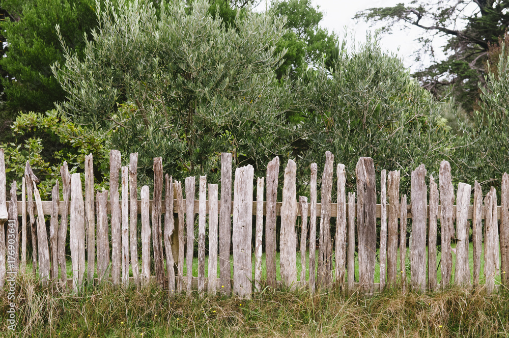 Wooden fence, Golden Bay, New Zealand. Wooden fence, Golden Bay, New Zealand.