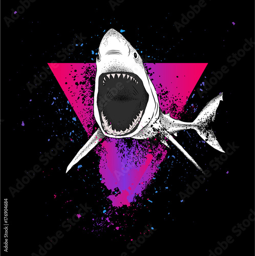 shark in a triangle. abstract drawing. vector illustration.