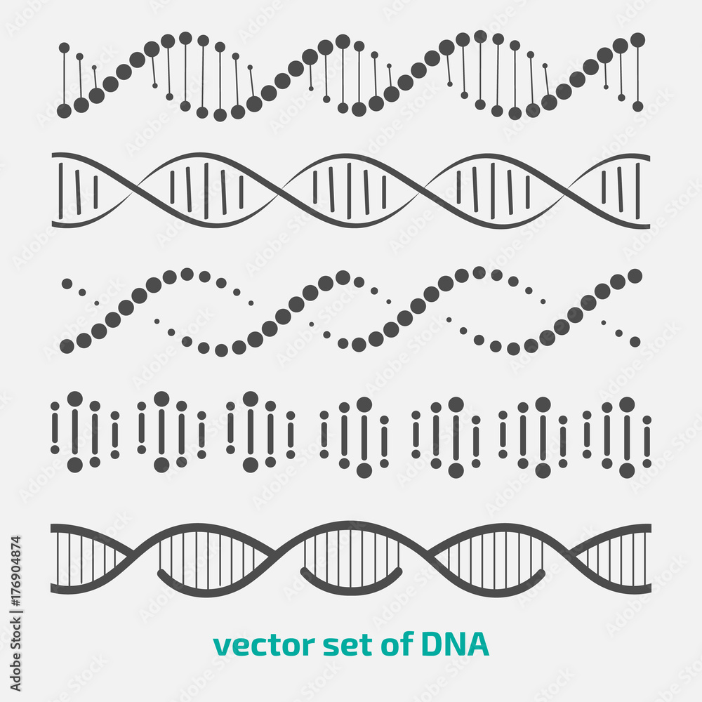 vector set of elements DNA. - obrazy, fototapety, plakaty 