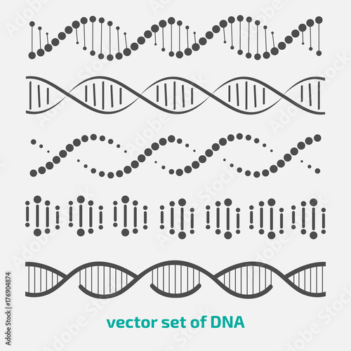 vector set of elements DNA. photo