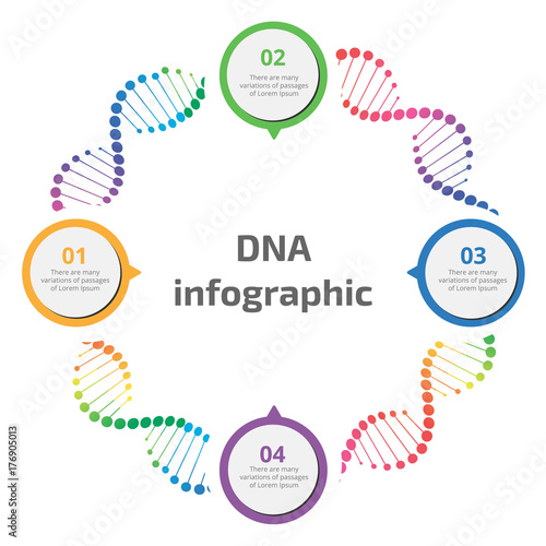 Abstract infographic DNA ,can be used for workflow layout, diagram, number options