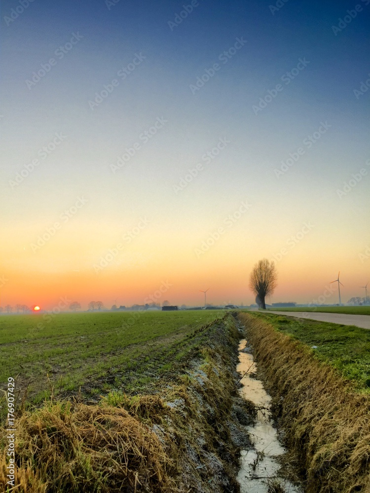 Fototapeta premium Dramatic colorful countryside sunrise with trees and silhouettes
