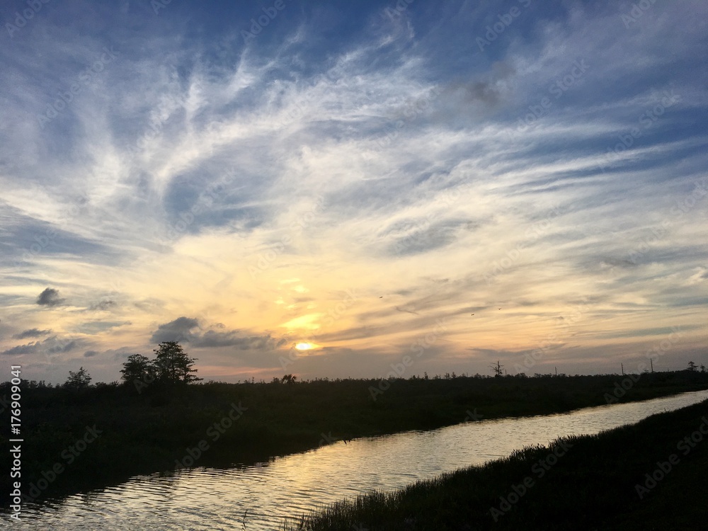 river in the swamp at sunset river in the swamp at sunset