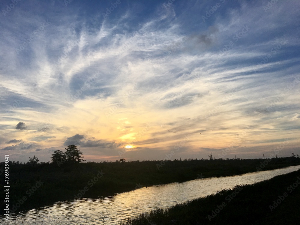 river in the swamp at sunset