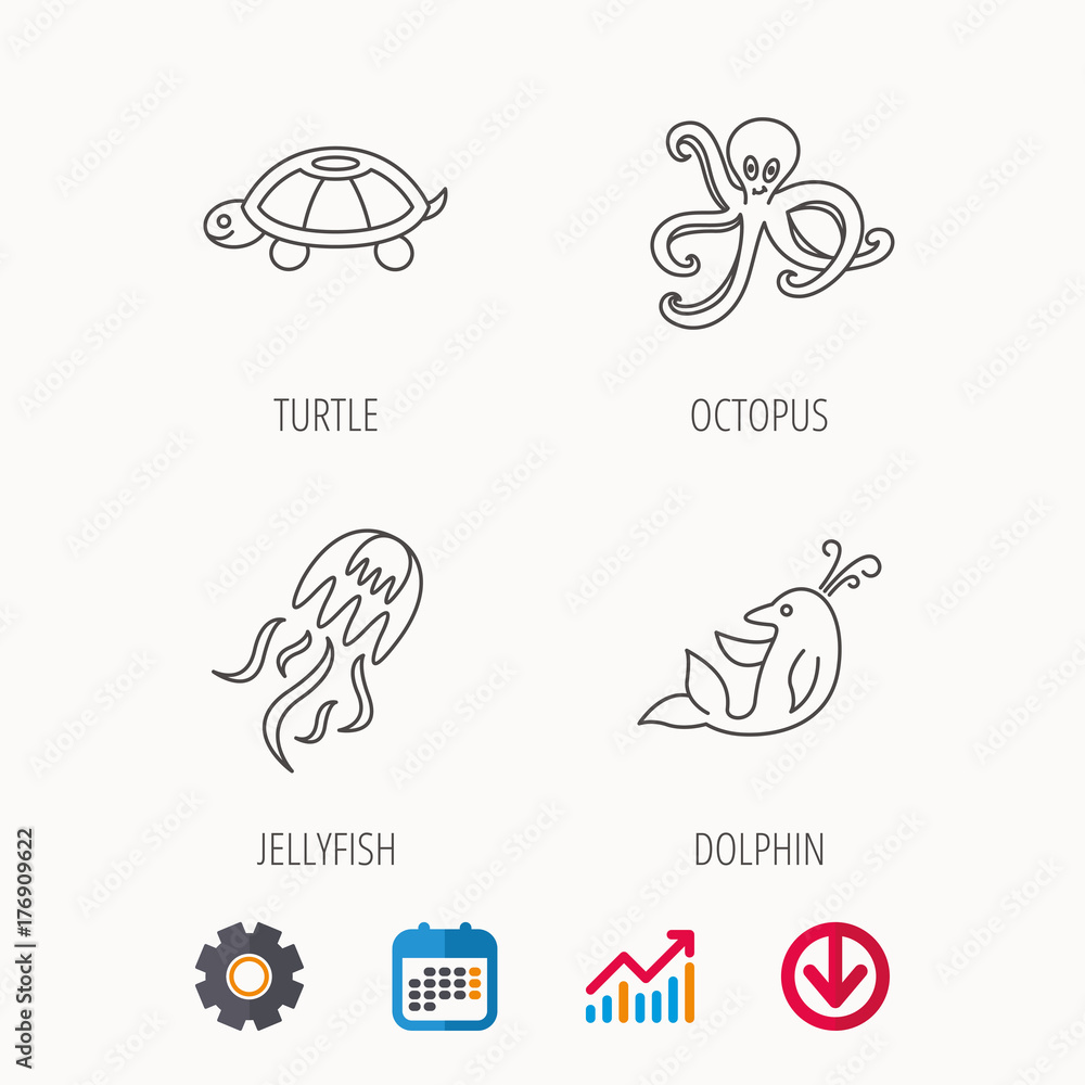 Octopus, turtle and dolphin icons. Jellyfish.