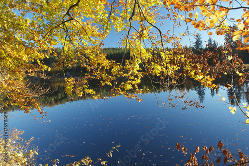 Herbststimmung am See photo