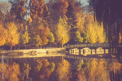 Autumn landscape in morning park. View of colorful trees and reflection in water. Filtered image:cross processed vintage effect.