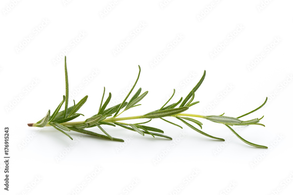 Fototapeta premium Rosemary isolated on white background, Top view.