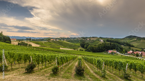 Landscape with Styrian Tuscany Vineyard at summer cloudy day, Austria