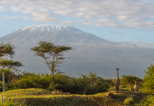 Mount kilamanjaro