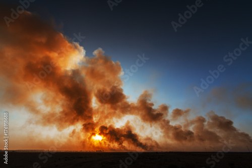Fire in the field © vladimirnikolic