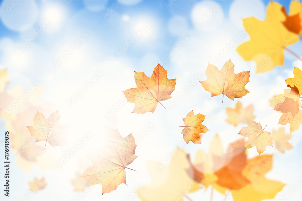 Goldener Herbst Goldener Herbst