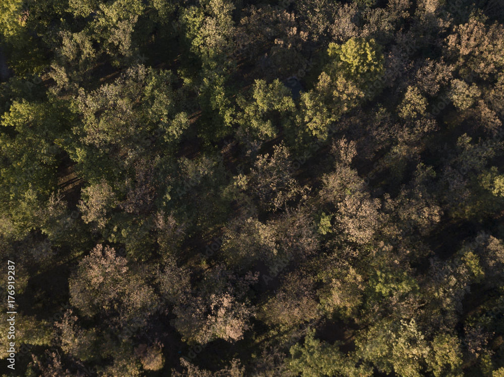 Aerial view of the Italian wild forest at sunset. Autumn season. Aerial view of the Italian wild forest at sunset. Autumn season.