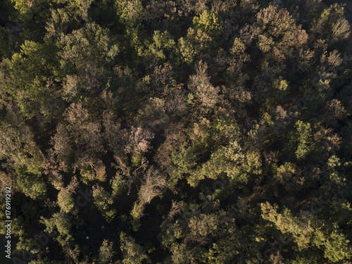 Aerial view of the Italian wild forest at sunset. Autumn season.