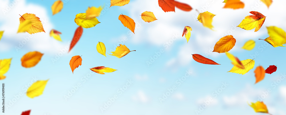 Obraz premium Goldener Herbst