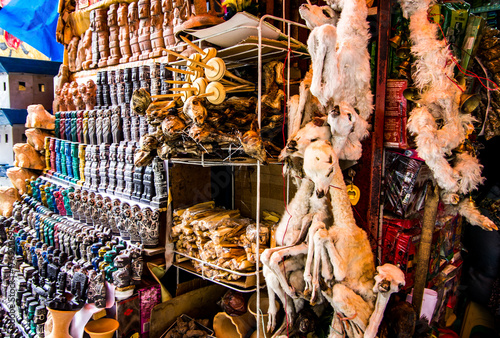 Photography dead llamas fetuses at the witch market