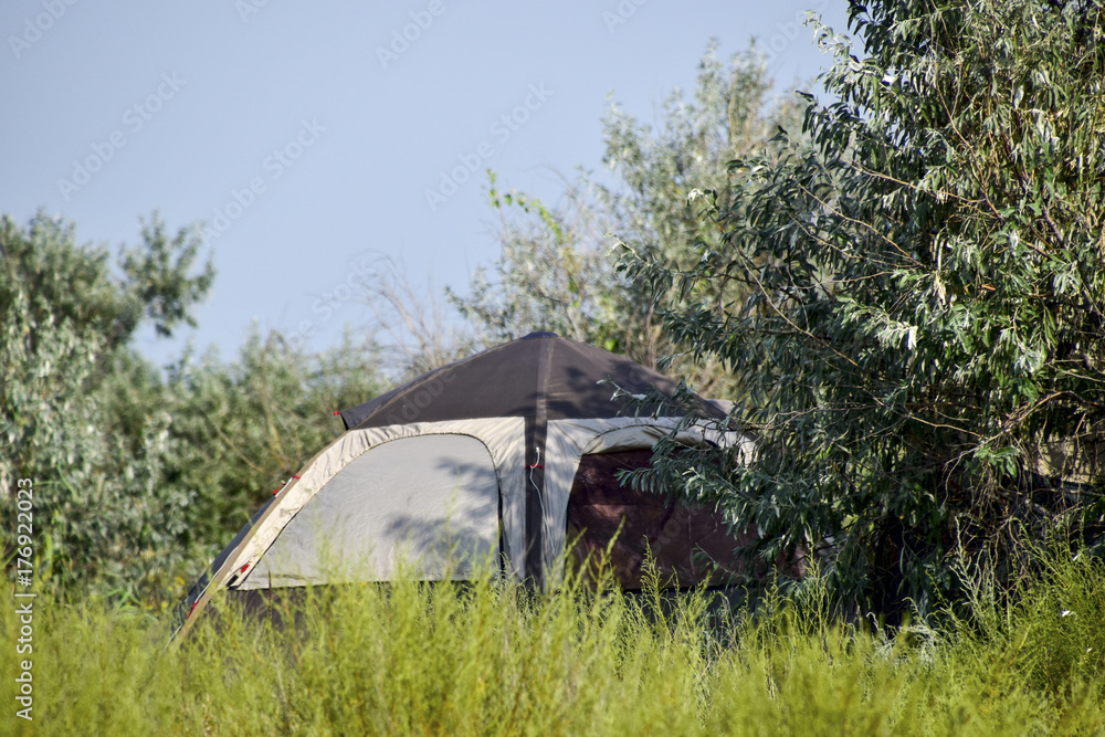 Tourist tent under a tree. Tourist Camping. Multi-Tent