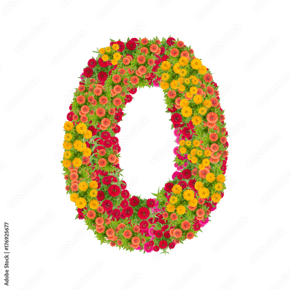 number 0 made from Zinnias flowers isolated on white background.Colorful zinnia flower put together in number two shape with clipping path
