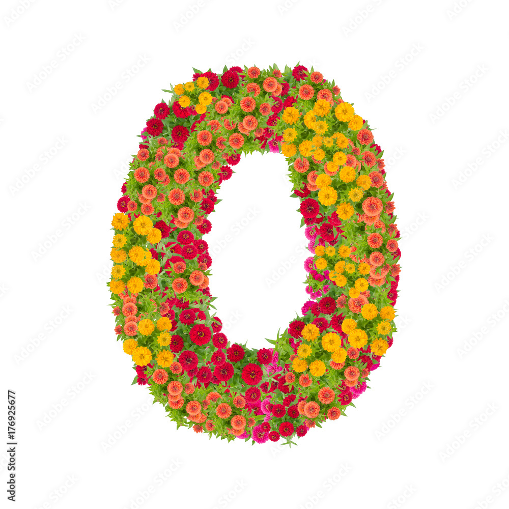 number 0 made from Zinnias flowers isolated on white background.Colorful zinnia flower put together in number two shape with clipping path number 0 made from Zinnias flowers isolated on white background.Colorful zinnia flower put together in number two shape with clipping path