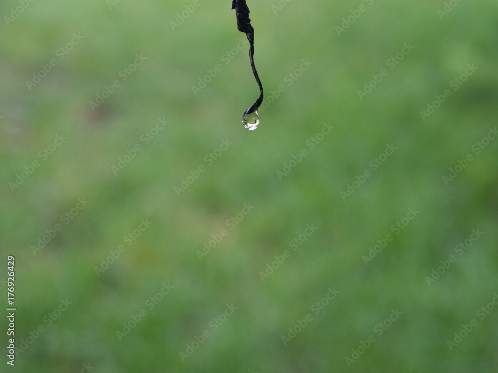 One Drop One Drop