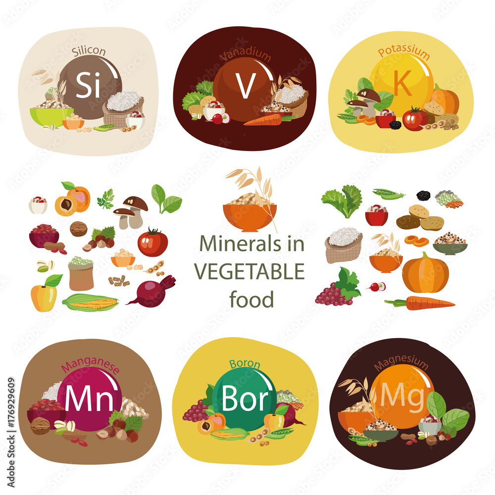 Minerals in plant foods.