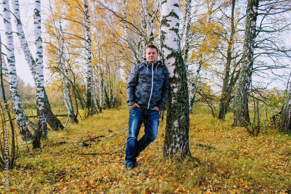 Autumn time: a man in blue jeans posing against the backdrop of an autumn birch forest.