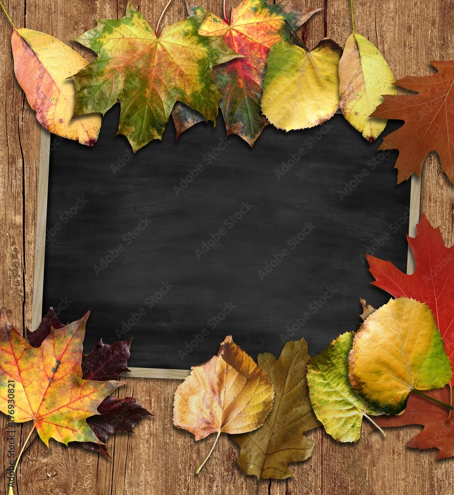 Herbst Hintergrund