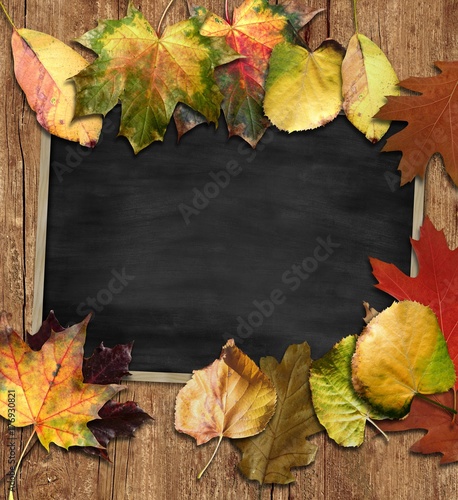Obraz na płótnie Herbst Hintergrund w salonie
