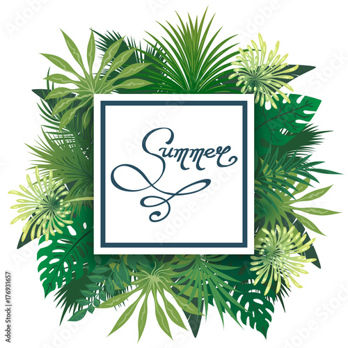 Palm leaves emblem. Palmtree leaves summer label, vector border with palm greens photo