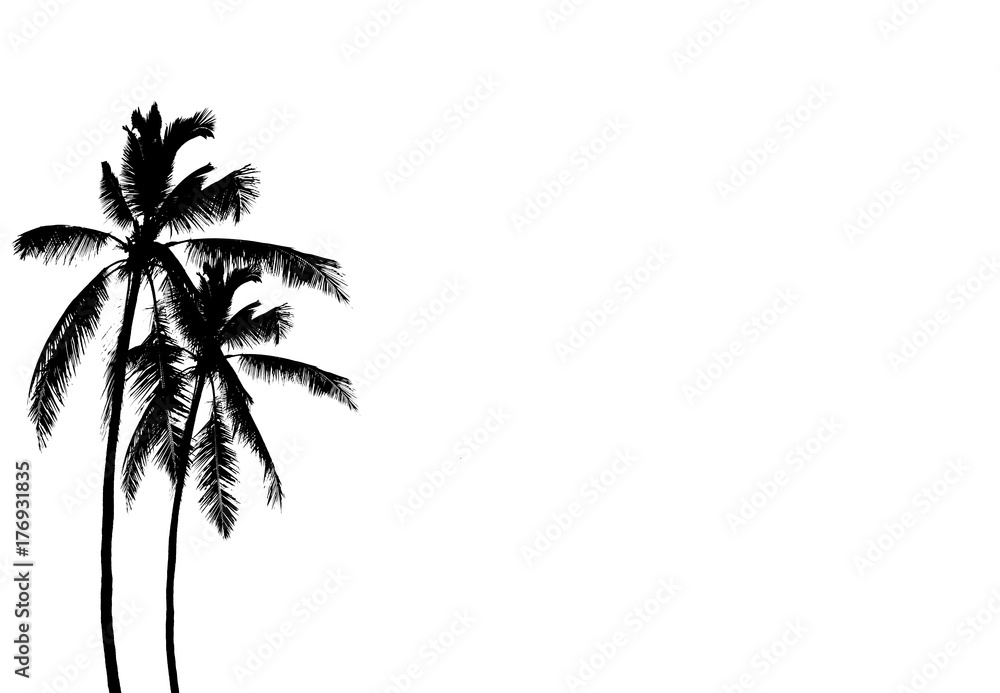  silhouette coconut tree on white background