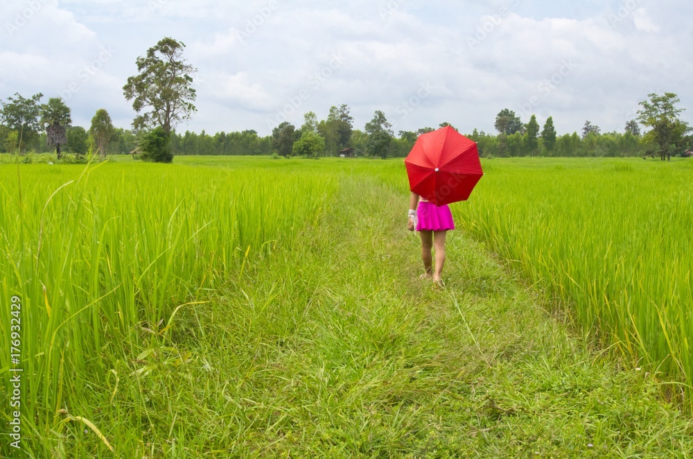 Little girl with red umbrella in Thai rice fields. Little girl with red umbrella in Thai rice fields.