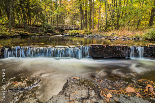 Water flows gently over rocks in the forest in Autumn