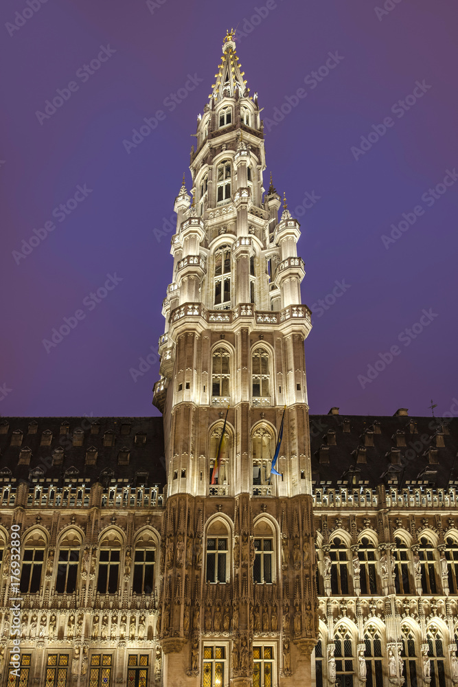 Fototapeta premium Town Hall in Brussels, Belgium.