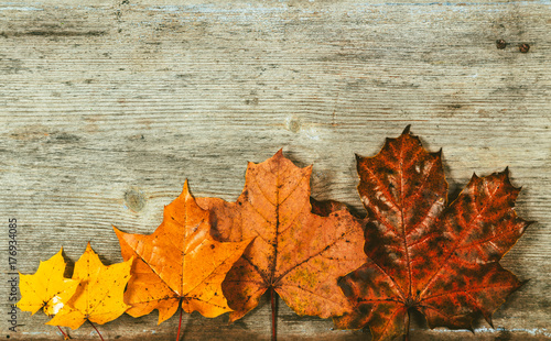 Autumn leaves on a wooden background.