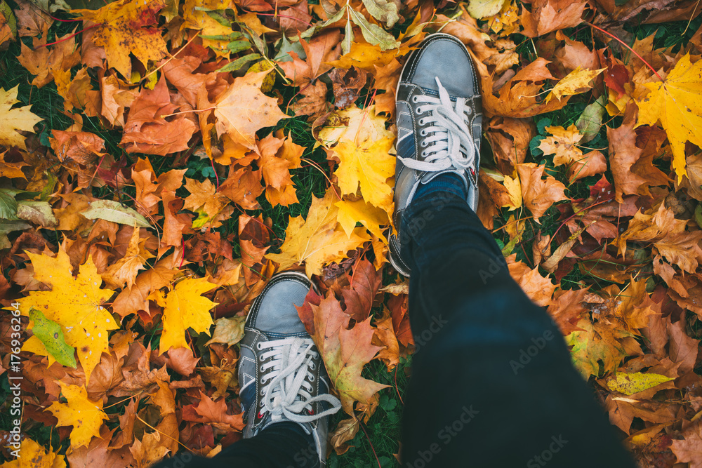Young man walking in sneakers on ground with autumn leaves | Adobe Stock