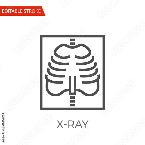 X-ray Vector Icon