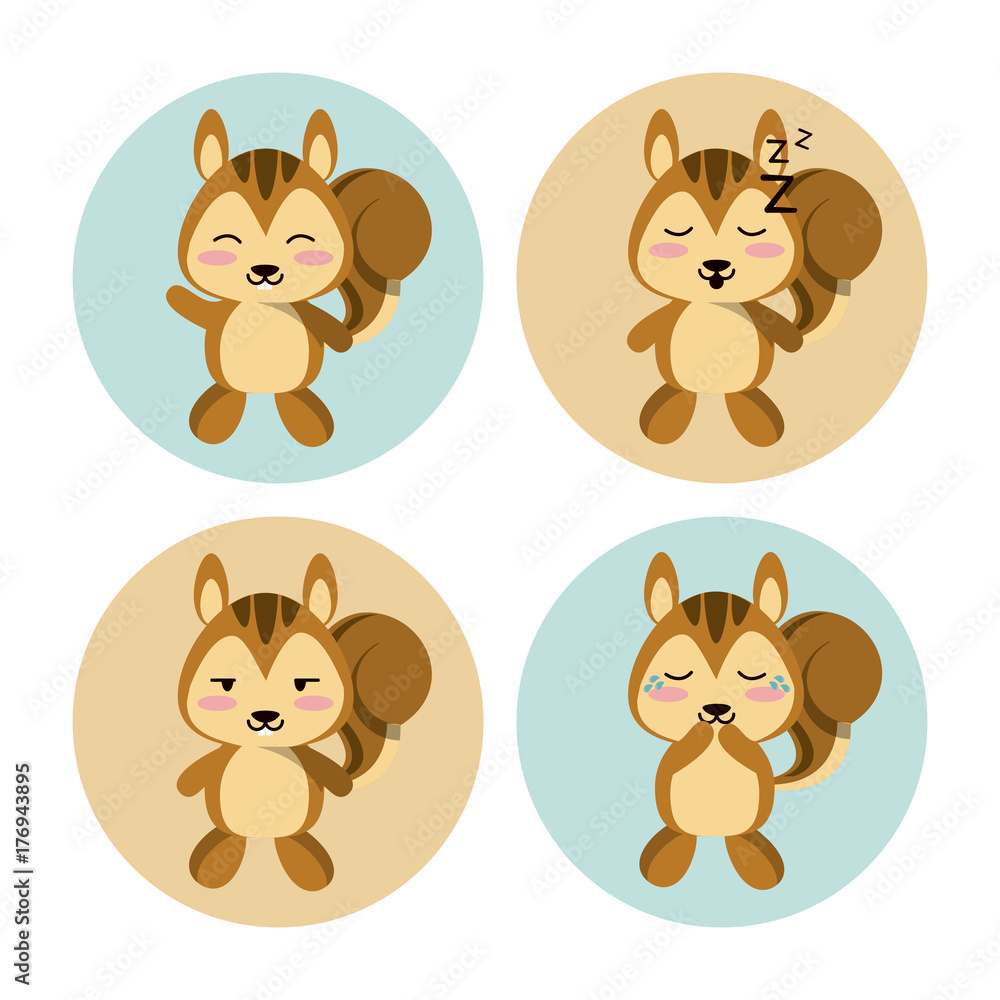 Fototapeta premium Cute squirrel icons icon vector illustration graphic design