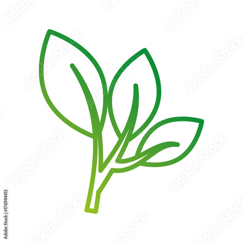 investment concept financial profit growth process plant business metaphor