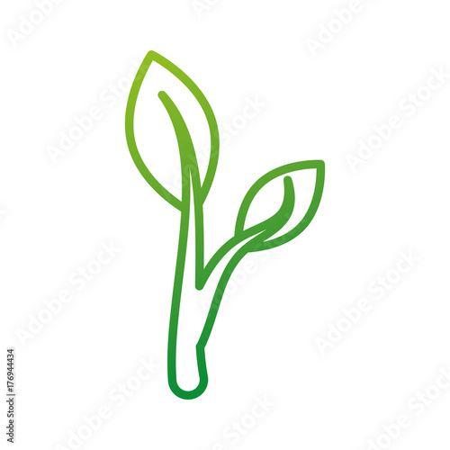 investment concept financial profit growth process plant business metaphor