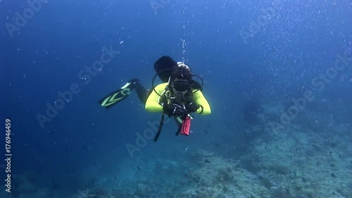 Wallpaper Mural Scuba diver swimming deep underwater in Red sea. World of colorful beautiful wildlife of reefs and algae. Relax and privacy. Abyssal diving. Torontodigital.ca