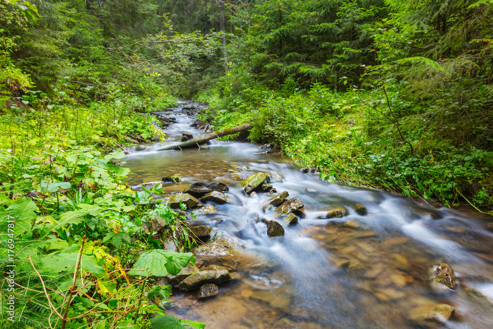 rushing river in a forest rushing river in a forest