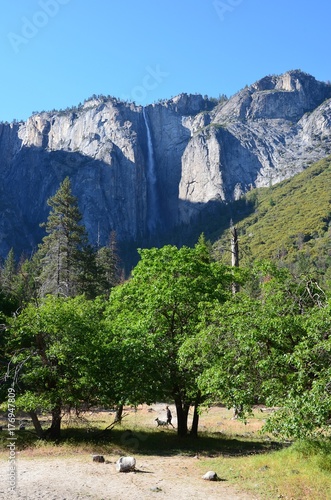 Yosemite National Park  Nevada in North America