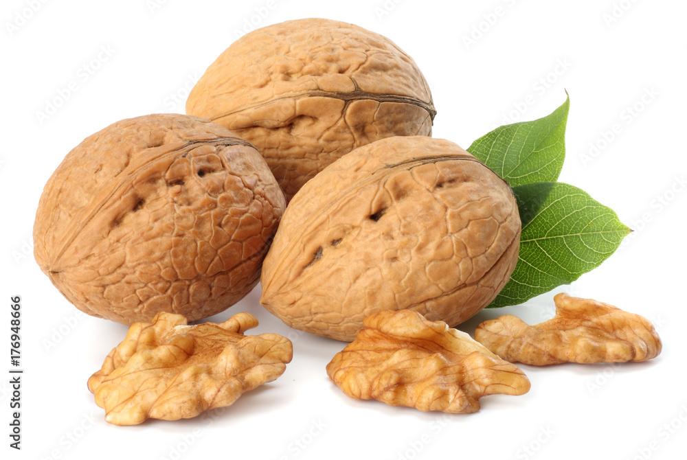 Green walnuts with leaves isolated on a white background Green walnuts with leaves isolated on a white background
