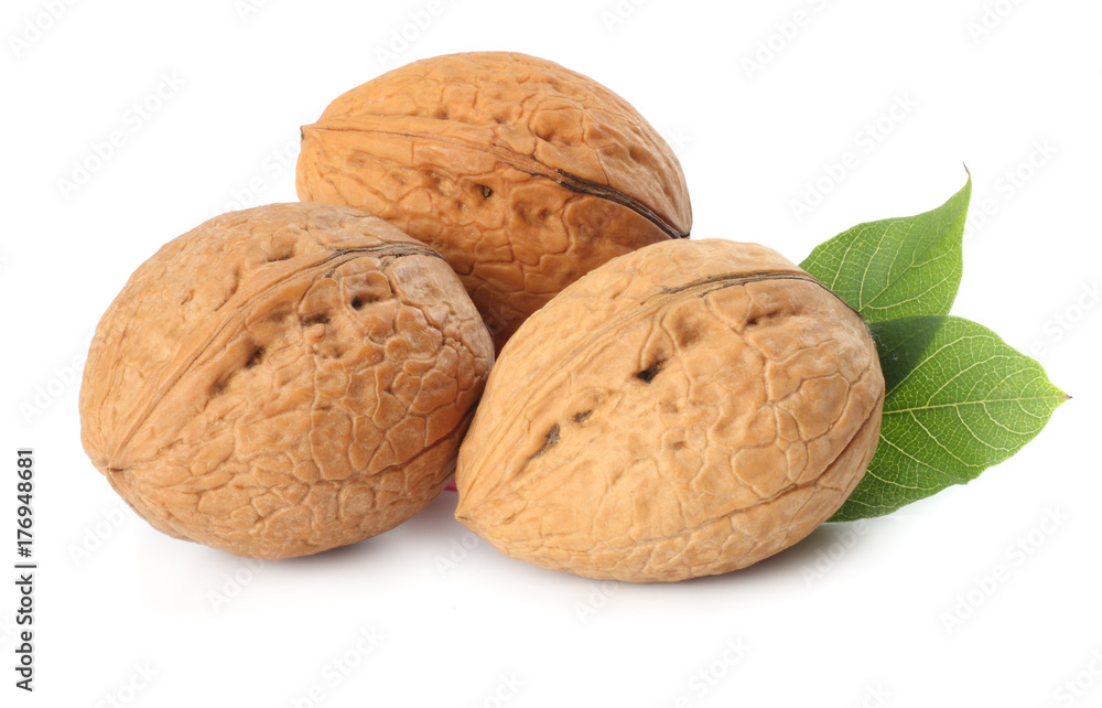 Green walnuts with leaves isolated on a white background Green walnuts with leaves isolated on a white background