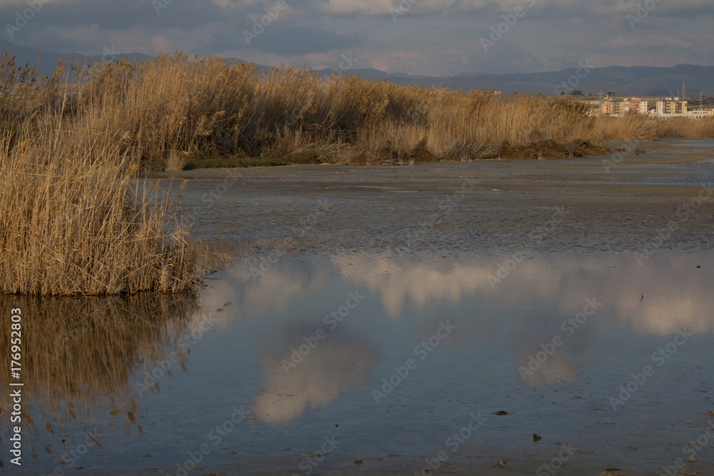 Fototapeta premium Quartu: panoramica delle saline all'interno del parco regionale di Molentargius - Sardegna