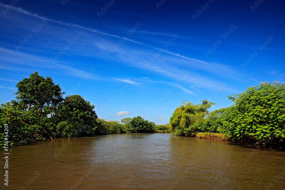 Beautiful river landscape from Costa Rica. River Rio Frio in the tropic forest. Stones in the stream. Trees above the water. Summer season with blue sky. Typical landscape in the tropic green forest. Beautiful river landscape from Costa Rica. River Rio Frio in the tropic forest. Stones in the stream. Trees above the water. Summer season with blue sky. Typical landscape in the tropic green forest.