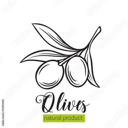hand drawn olives icon