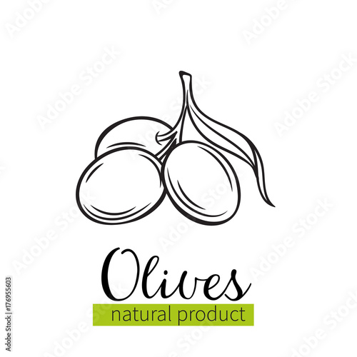 hand drawn olives icon