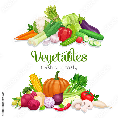 Banner with vector vegetables.