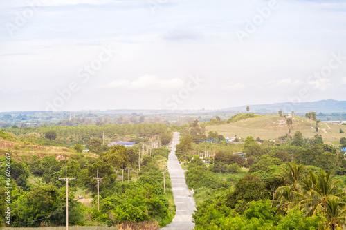 road in forest photo